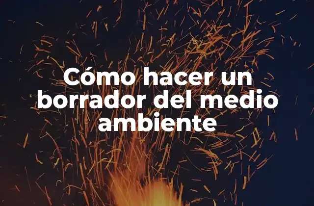 Cómo Hacer un Borrador Del Medio Ambiente