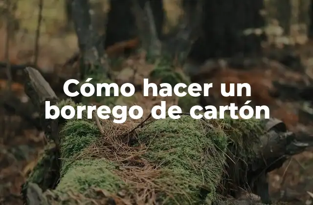 Cómo Hacer un Borrego de Cartón