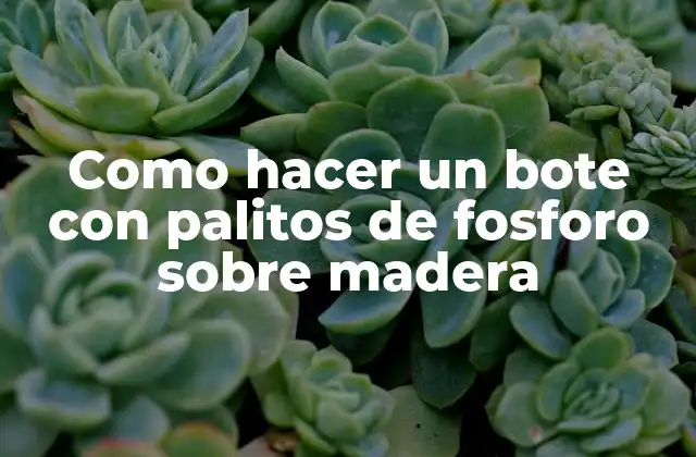 Como Hacer un Bote con Palitos de Fosforo sobre Madera