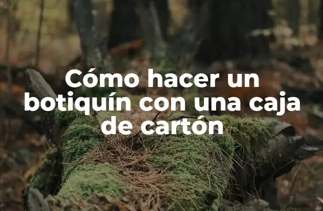 Cómo Hacer un Botiquín con una Caja de Cartón