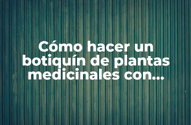 Cómo Hacer un Botiquín de Plantas Medicinales con Material Reciclado