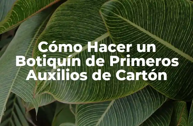 Cómo Hacer un Botiquín de Primeros Auxilios de Cartón