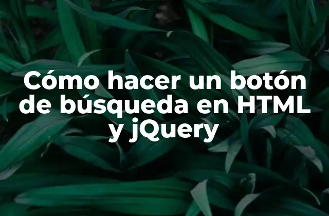 Cómo hacer un botón de búsqueda en HTML y jQuery