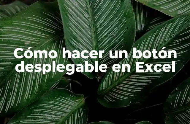 Cómo Hacer un Botón Desplegable en Excel