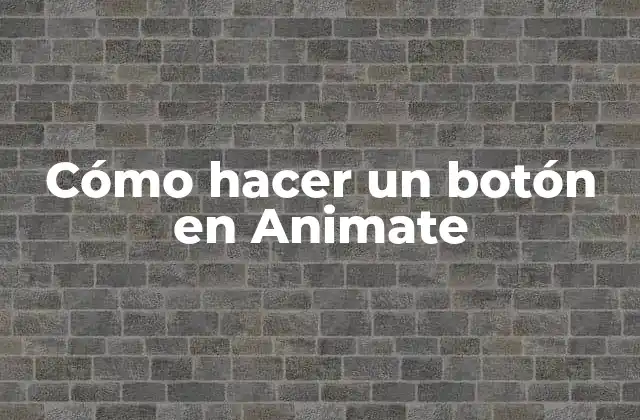 Cómo Hacer un Botón en Animate