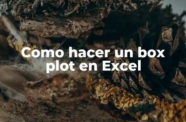Como Hacer un Box Plot en Excel
