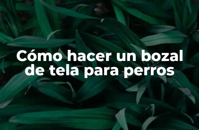 Cómo Hacer un Bozal de Tela para Perros