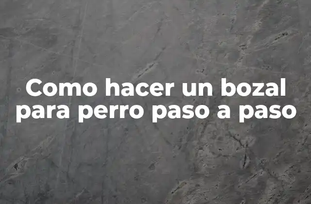 Como Hacer un Bozal para Perro Paso a Paso