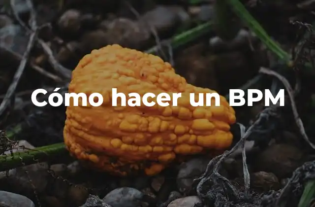 Cómo Hacer un Bpm