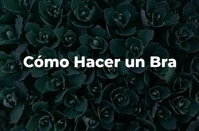 Cómo Hacer un Bra 2 Cómo Hacer un Bra