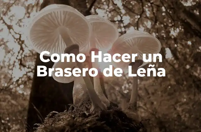 Como Hacer un Brasero de Leña