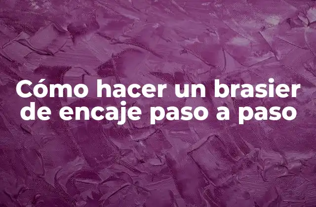 Cómo Hacer un Brasier de Encaje Paso a Paso 2 ¿Qué es un brasier de encaje?