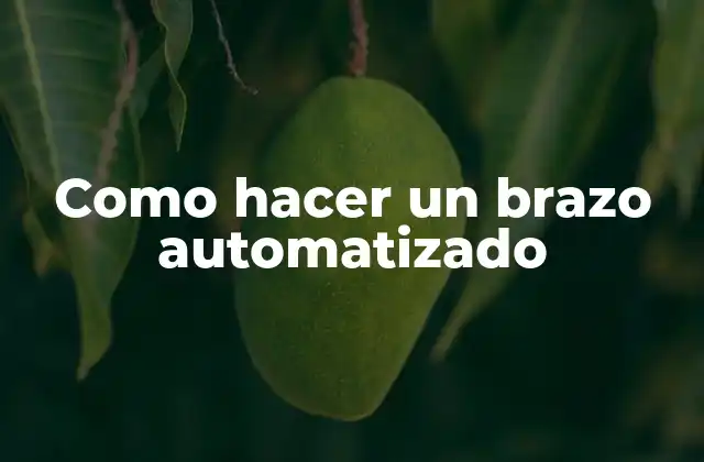 Como Hacer un Brazo Automatizado