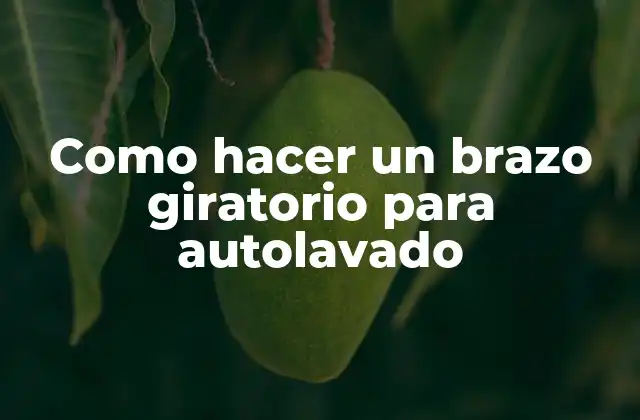 Como Hacer un Brazo Giratorio para Autolavado