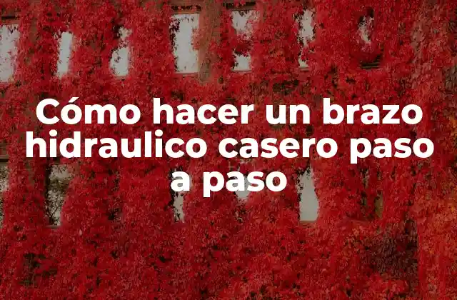 Cómo Hacer un Brazo Hidraulico Casero Paso a Paso