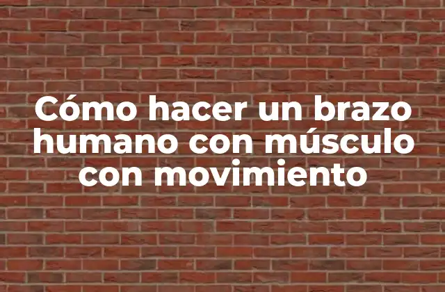 Cómo Hacer un Brazo Humano con Músculo con Movimiento