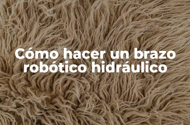 Cómo Hacer un Brazo Robótico Hidráulico