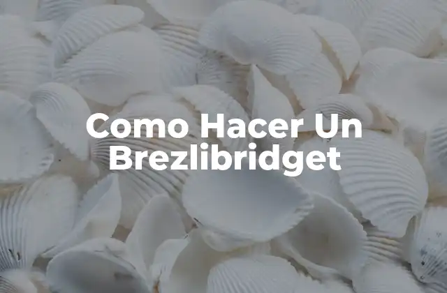 Como Hacer un Brezlibridget 2 ¿Qué es un Brezlibridget?