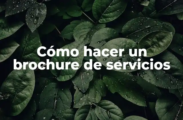 Cómo Hacer un Brochure de Servicios