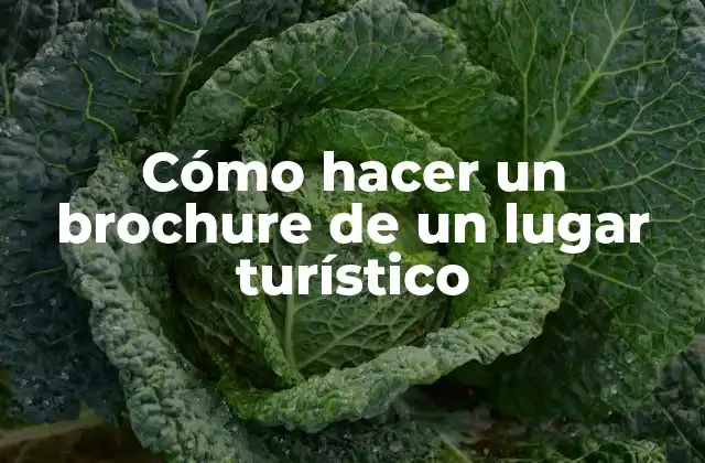 Cómo Hacer un Brochure de un Lugar Turístico