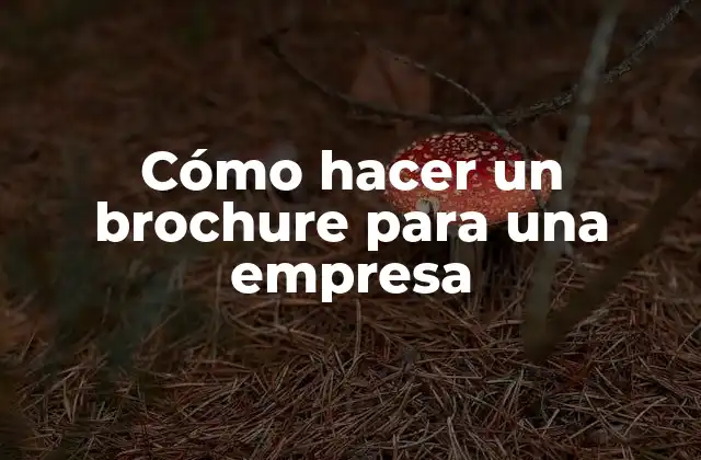 Cómo Hacer un Brochure para una Empresa