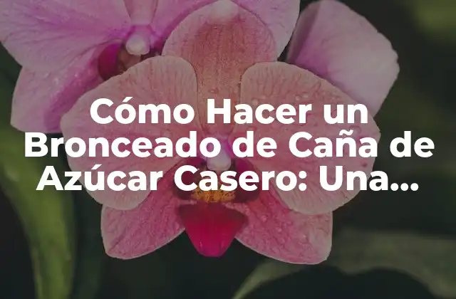 Cómo Hacer un Bronceado de Caña de Azúcar Casero: una Guía Completa