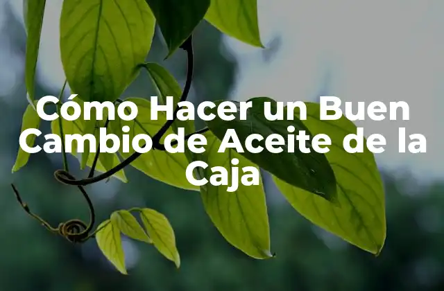 Cómo Hacer un Buen Cambio de Aceite de la Caja