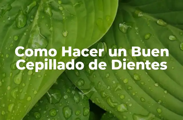 Como Hacer un Buen Cepillado de Dientes
