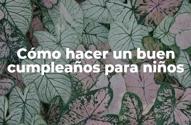 Cómo Hacer un Buen Cumpleaños para Niños