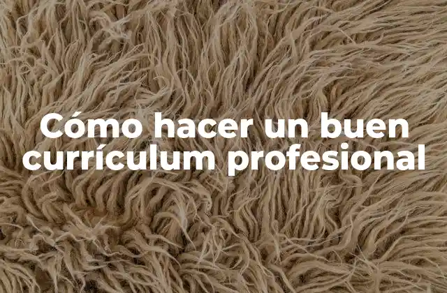 Cómo Hacer un Buen Currículum Profesional