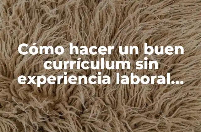 Cómo Hacer un Buen Currículum sin Experiencia Laboral Ejemplos