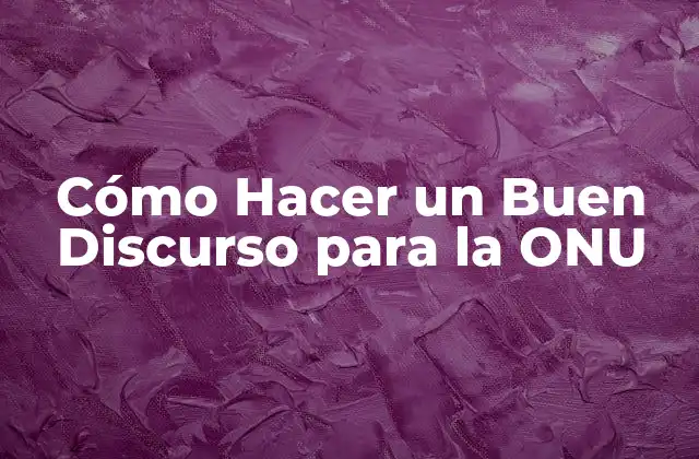 Cómo Hacer un Buen Discurso para la Onu