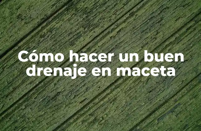 Cómo Hacer un Buen Drenaje en Maceta