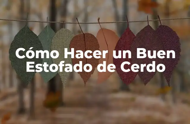 Cómo Hacer un Buen Estofado de Cerdo 2 ¿Qué es un Estofado de Cerdo y para Qué Sirve?
