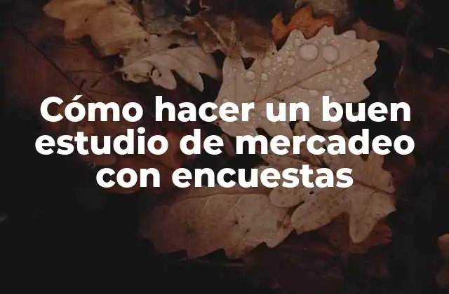 Cómo Hacer un Buen Estudio de Mercadeo con Encuestas