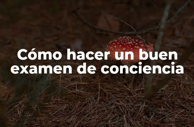 Cómo Hacer un Buen Examen de Conciencia