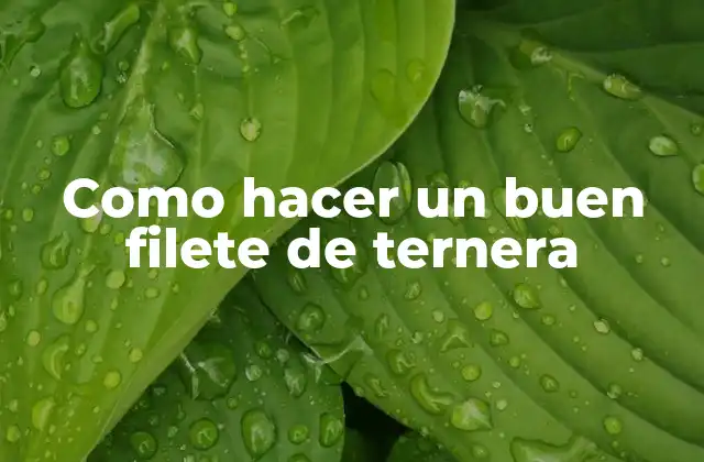 Como Hacer un Buen Filete de Ternera