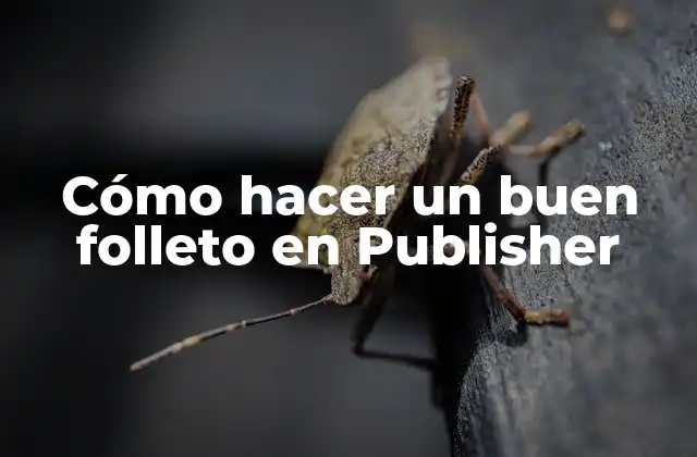 Cómo Hacer un Buen Folleto en Publisher