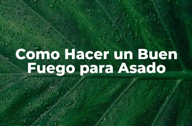 Como Hacer un Buen Fuego para Asado
