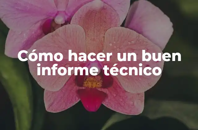 Cómo Hacer un Buen Informe Técnico