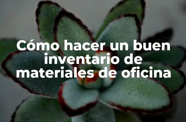 Cómo Hacer un Buen Inventario de Materiales de Oficina