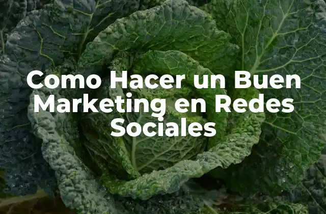 Como Hacer un Buen Marketing en Redes Sociales