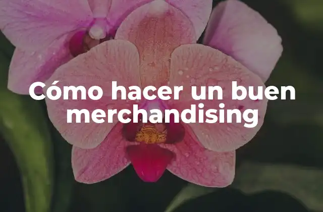 Cómo Hacer un Buen Merchandising