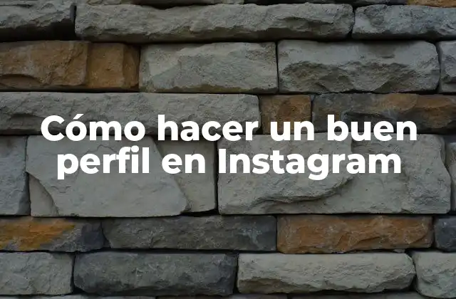 Cómo Hacer un Buen Perfil en Instagram
