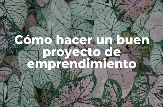Cómo hacer un buen proyecto de emprendimiento