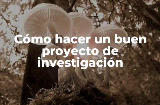 Cómo Hacer un Buen Proyecto de Investigación