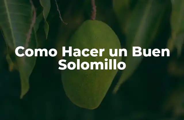 Como Hacer un Buen Solomillo 2 ¿Qué es un Solomillo y para Qué Sirve?