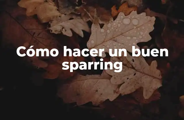 Cómo Hacer un Buen Sparring