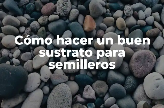 Cómo Hacer un Buen Sustrato para Semilleros