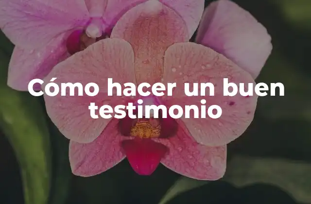 Cómo Hacer un Buen Testimonio